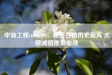 中油工程(600339)：新签合同历史新高 大额减值拖累业绩