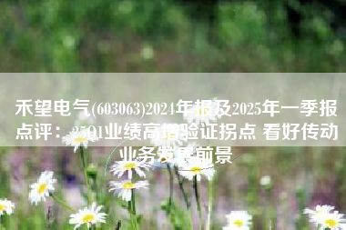 禾望电气(603063)2024年报及2025年一季报点评：25Q1业绩高增验证拐点 看好传动业务发展前景