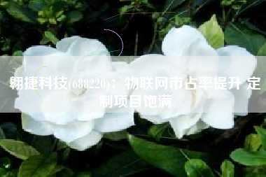 翱捷科技(688220)：物联网市占率提升 定制项目饱满