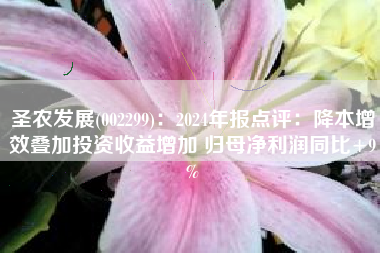 圣农发展(002299)：2024年报点评：降本增效叠加投资收益增加 归母净利润同比+9%