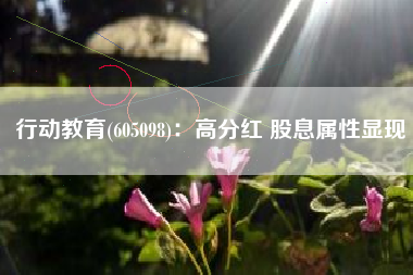 行动教育(605098)：高分红 股息属性显现