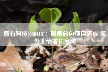 震有科技(688418)：刚果总包项目落成 海外业绩增长启动