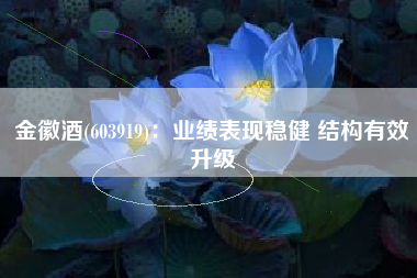 金徽酒(603919)：业绩表现稳健 结构有效升级