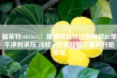 福莱特(601865)：玻璃阶段性过剩导致H2单平净利承压 冷修+抢装背景下盈利开始修复
