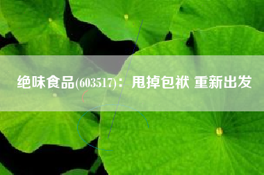 绝味食品(603517)：甩掉包袱 重新出发