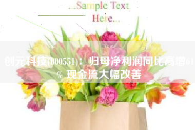 创元科技(000551)：归母净利润同比高增61% 现金流大幅改善