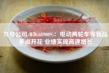 九号公司-WD(689009)：电动两轮车等新品多点开花 业绩实现高速增长