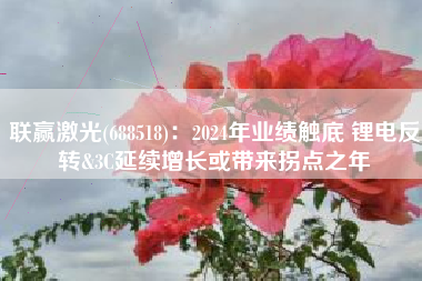 联赢激光(688518)：2024年业绩触底 锂电反转&3C延续增长或带来拐点之年