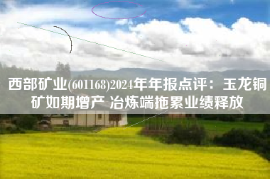 西部矿业(601168)2024年年报点评：玉龙铜矿如期增产 冶炼端拖累业绩释放