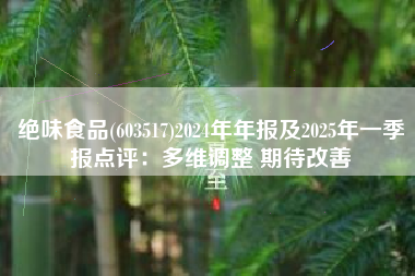 绝味食品(603517)2024年年报及2025年一季报点评：多维调整 期待改善