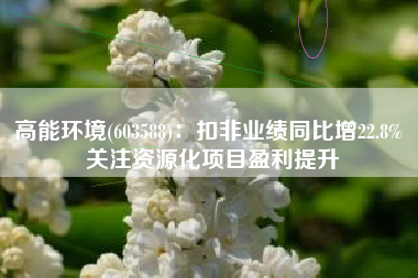 高能环境(603588)：扣非业绩同比增22.8% 关注资源化项目盈利提升