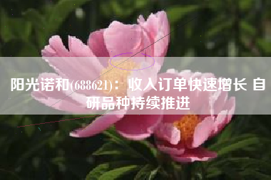 阳光诺和(688621)：收入订单快速增长 自研品种持续推进