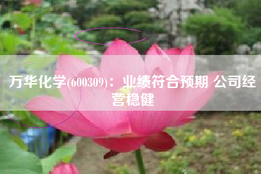 万华化学(600309)：业绩符合预期 公司经营稳健
