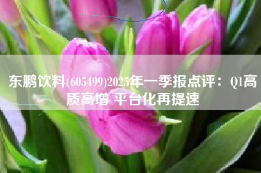 东鹏饮料(605499)2025年一季报点评：Q1高质高增 平台化再提速