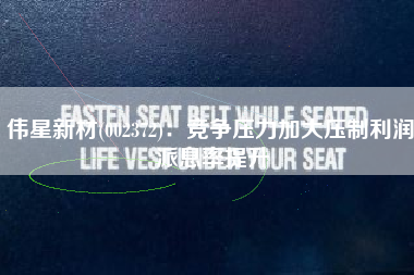 伟星新材(002372)：竞争压力加大压制利润 派息率提升