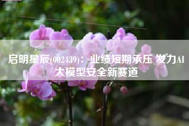 启明星辰(002439)：业绩短期承压 发力AI大模型安全新赛道
