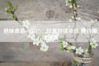 绝味食品(603517)：经营持续承压 期待需求改善