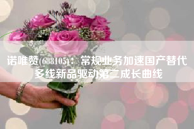 诺唯赞(688105)：常规业务加速国产替代 多线新品驱动第二成长曲线