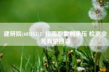 建研院(603183)：短周期盈利承压 检测业务有望回温