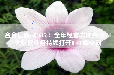 合合信息(688615)：全年经营表现亮眼 AI大数据业务持续打开B+C端空间