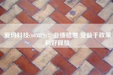 爱玛科技(603529)：业绩稳增 受益于政策利好释放
