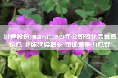 川恒股份(002895)：2024年公司磷化品量增价稳 业绩延续增长 市场竞争力稳健