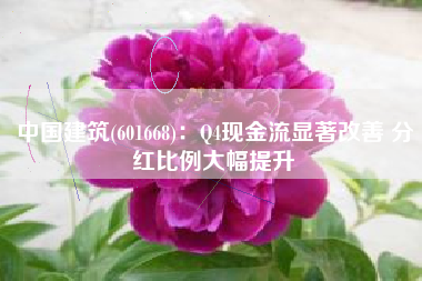 中国建筑(601668)：Q4现金流显著改善 分红比例大幅提升