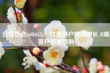 合合信息(688615)：付费用户持续增长 B端客户拓展顺利