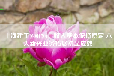 上海建工(600170)：收入基本保持稳定 六大新兴业务拓展初显成效