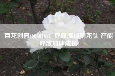 百龙创园(605016)：健康添加剂龙头 产能释放加速成长