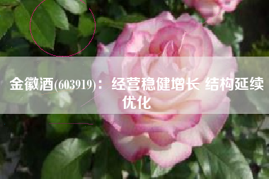 金徽酒(603919)：经营稳健增长 结构延续优化
