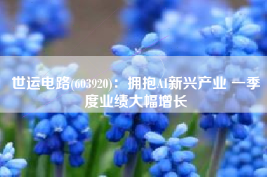 世运电路(603920)：拥抱AI新兴产业 一季度业绩大幅增长