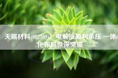天赐材料(002709)：电解液盈利承压 一体化布局纵深突破