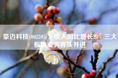 豪迈科技(002595)：收入同比增长23% 三大板块业务齐头并进