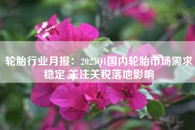 轮胎行业月报：2025Q1国内轮胎市场需求稳定 关注关税落地影响