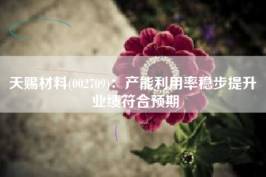 天赐材料(002709)：产能利用率稳步提升 业绩符合预期