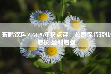 东鹏饮料(605499)年报点评：公司保持较快增长 盈利增强
