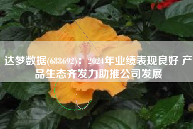 达梦数据(688692)：2024年业绩表现良好 产品生态齐发力助推公司发展