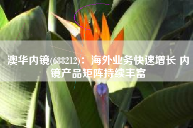 澳华内镜(688212)：海外业务快速增长 内镜产品矩阵持续丰富