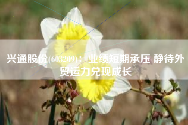 兴通股份(603209)：业绩短期承压 静待外贸运力兑现成长