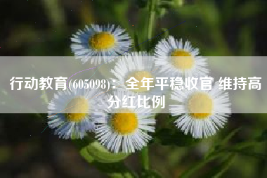 行动教育(605098)：全年平稳收官 维持高分红比例