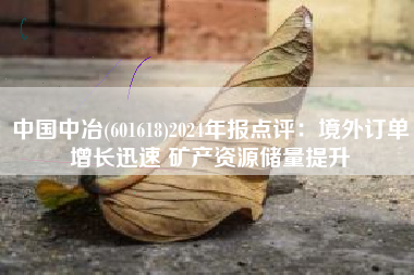 中国中冶(601618)2024年报点评：境外订单增长迅速 矿产资源储量提升