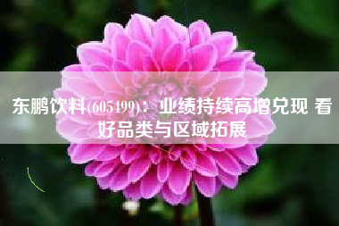 东鹏饮料(605499)：业绩持续高增兑现 看好品类与区域拓展