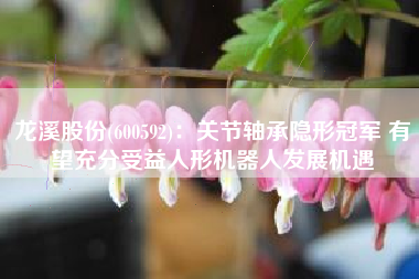 龙溪股份(600592)：关节轴承隐形冠军 有望充分受益人形机器人发展机遇