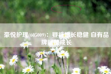 豪悦护理(605009)：婴裤增长稳健 自有品牌赋能成长