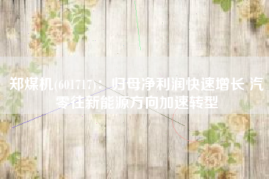 郑煤机(601717)：归母净利润快速增长 汽零往新能源方向加速转型