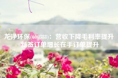 龙净环保(600388)：营收下降毛利率提升 新签订单增长在手订单提升