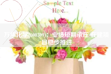 万华化学(600309)：业绩短期承压 在建项目稳步推进