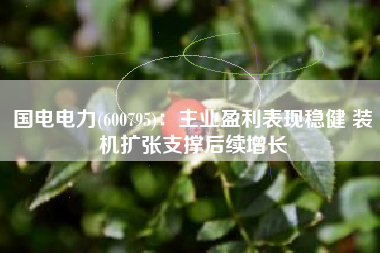 国电电力(600795)：主业盈利表现稳健 装机扩张支撑后续增长