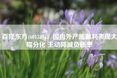 百隆东方(601339)：国内外产能盈利表现大幅分化 主动降减负债率